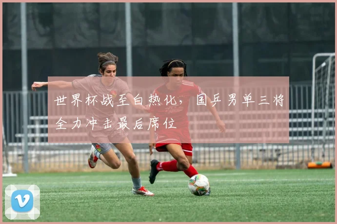 世界杯战至白热化，国乒男单三将全力冲击最后席位 - 2026世界杯推荐