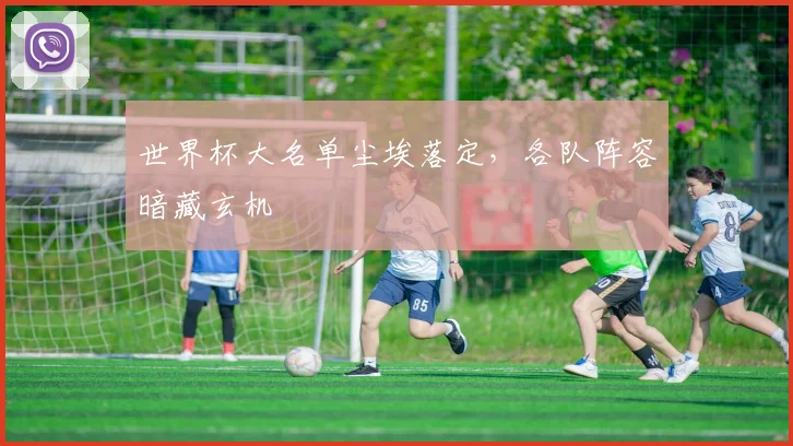 世界杯大名单尘埃落定，各队阵容暗藏玄机 - 2026世界杯资讯